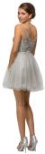 Embroidered Illusion Bodice Short Mesh Homecoming Dress back